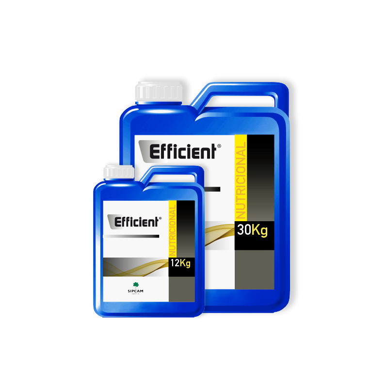 EFFICIENT - Sipcam Iberia